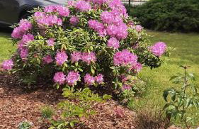 Apartament Pod Dębem - Foto 12