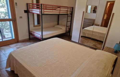 La Macciona - Photo 13