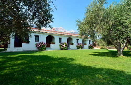 Agriturismo Guthiddai - Foto 55