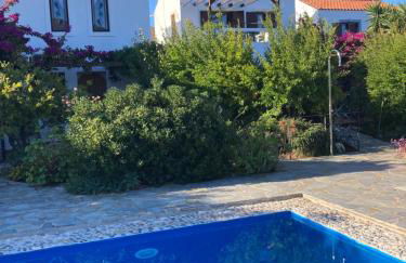 Leftheris villa - Photo 6