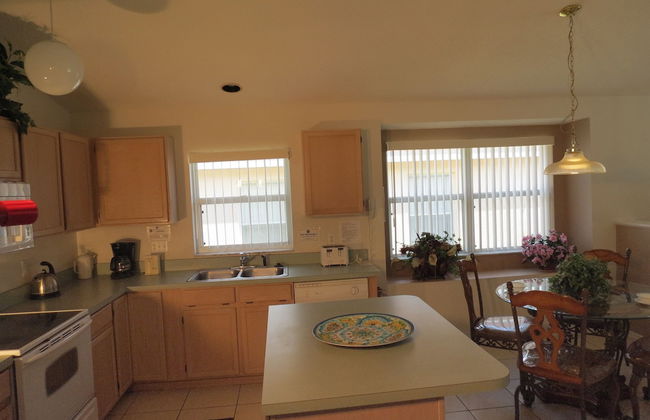 SVV Pool Homes Davenport - Photo 11