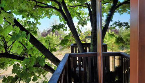 Casa sull'Albero Aromantica - Foto 5