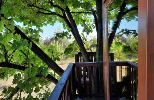 Casa sull'Albero Aromantica - Foto 5