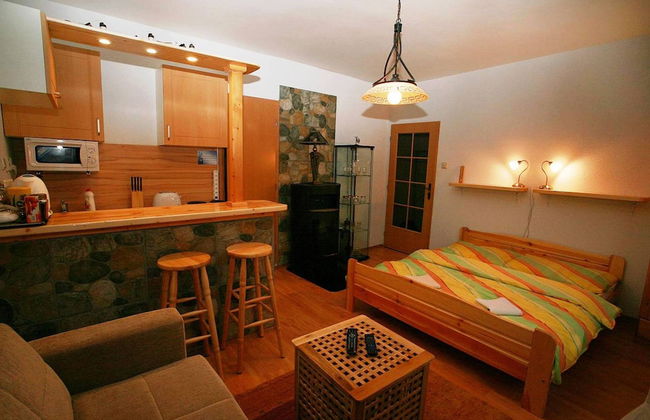 Apart & Wellness Hotel VILLA IVICA - Foto 58