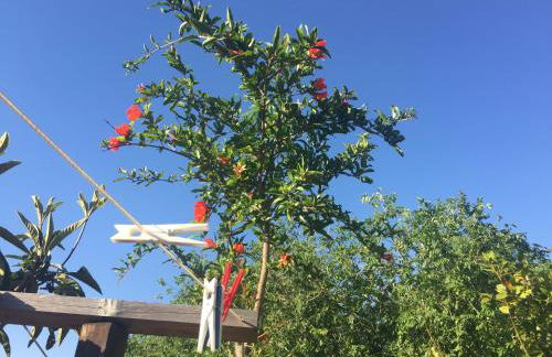 San Saba Rooftop Garden - Foto 28