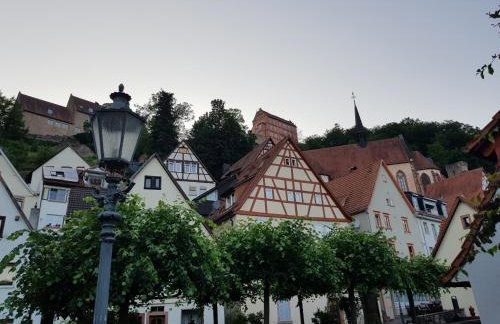 Zauberhafte Wohnung in der Nähe von Heidelberg, top Lage - Foto 43