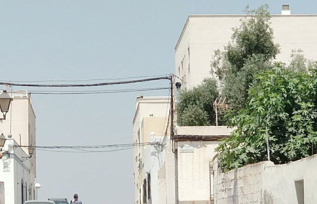 Garrucha 3 dormitorios - Foto 30