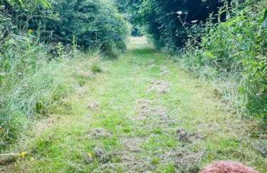 Hunters Lodge - Hot Tub -Pet friendly - Yorkshire - Foto 16