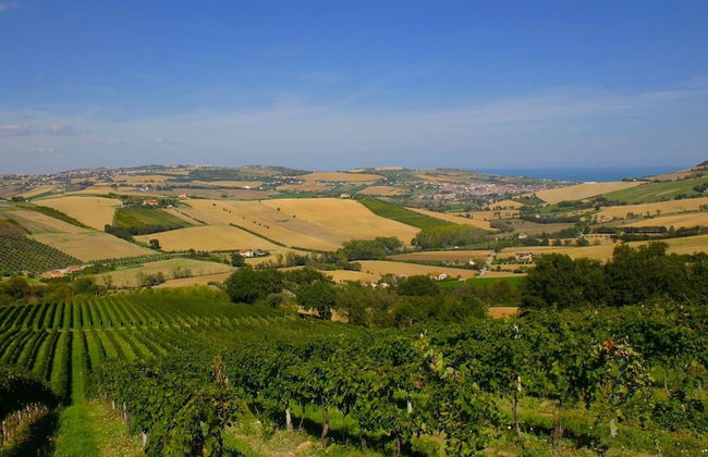 Belvilla by OYO Mare - Photo 17