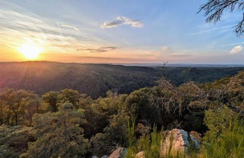 Ferienwohnung in Marienthal am Regen - Foto 16