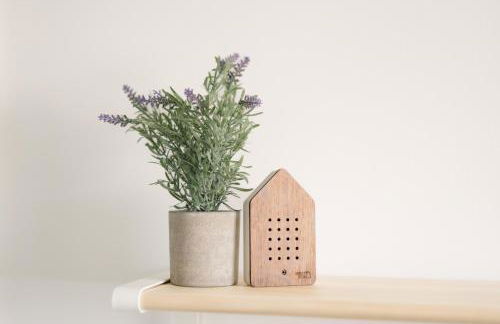 Apartamento Casa Gallardo - Foto 11