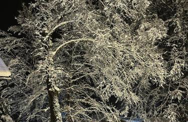 Holiday home Villa Mira - Foto 8