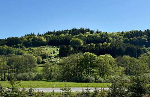 Ferienwohnung Schwarzenbergblick - Foto 12