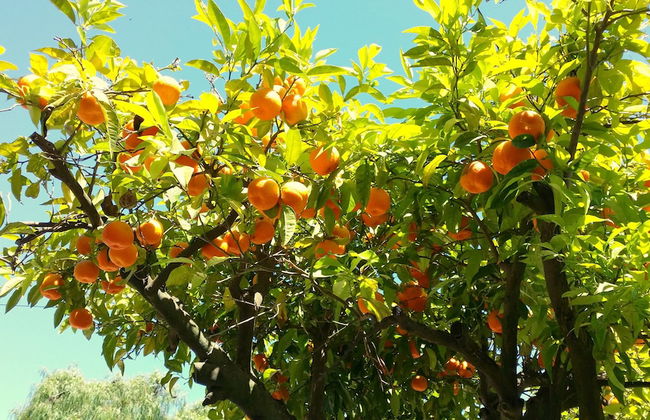 Kimi Résidence - Foto 51