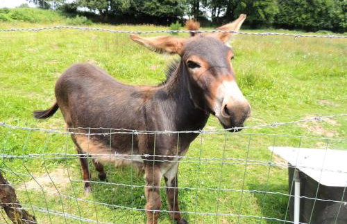 La Séliniére ! - Foto 19