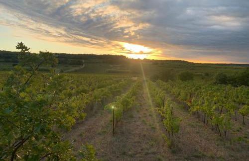 Quiet street in old Mèze - terrace, 250m to beach - Foto 35