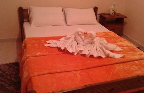 Dimitra Apartments Zakros Village - Photo 79