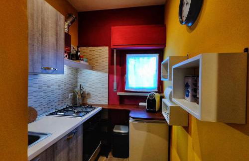 I levrieri Colombo - Foto 17