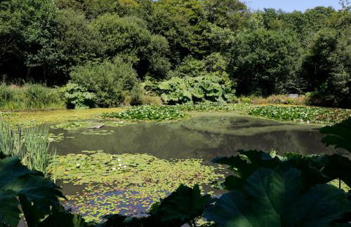 Jane's Place - Foto 13