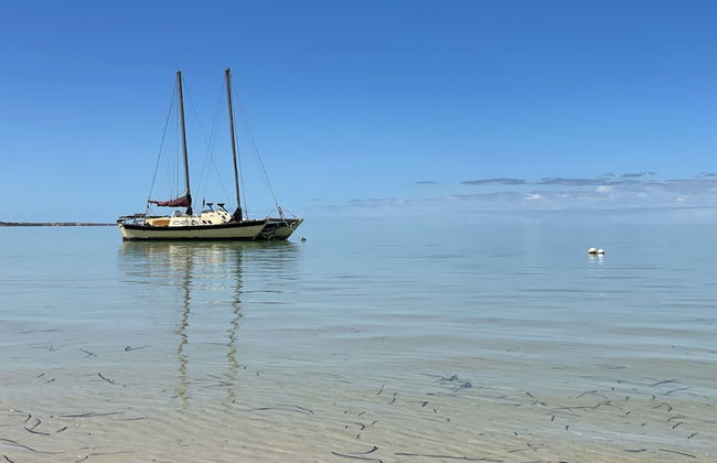 Shark Bay Seafront Apartments - Photo 43