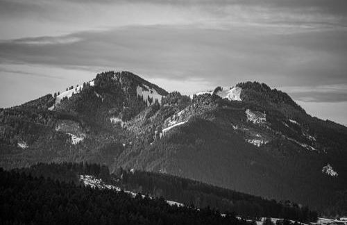 Bienenhaus #Bergblick im Sonnenhof - Foto 26