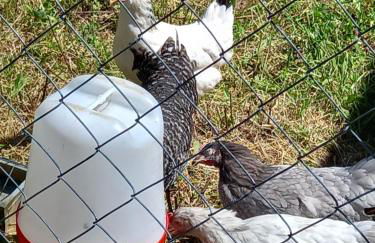 Villa Tranquilla apartment - Foto 62