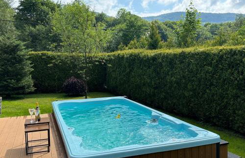 BESKIDIUM - uroczy dom Brenna - Foto 35