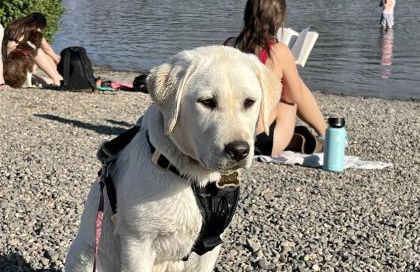 Bluebird Day - Canyon Retreat - Foto 29