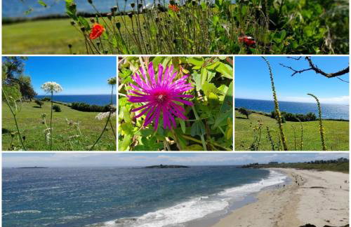 maison de vacances ninette - Photo 31