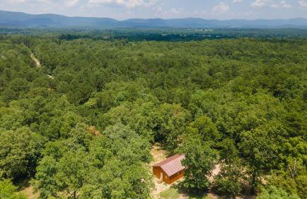 Halfmoon Hideaway-Cozy 2 bdr cabin Mena AR - Foto 80