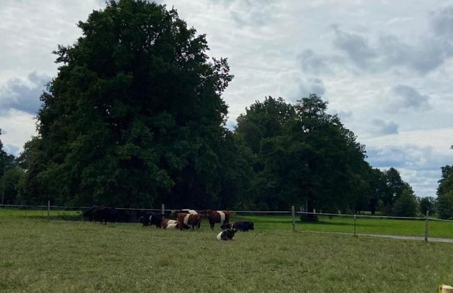 Ferienhaus in Brandenburg - Foto 35