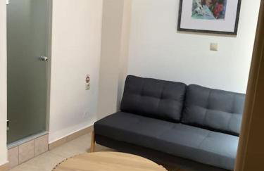 Lemon tree - Foto 29