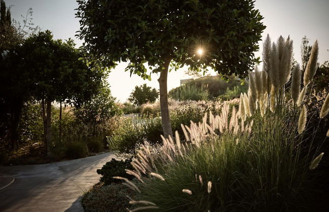 Butterflies Villas Spa-villa Noufara - Foto 22