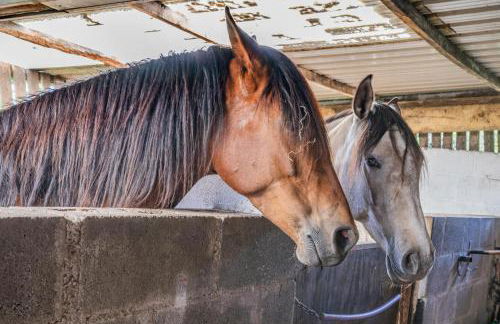 1 Bed in Aberaeron oc-bow300 - Foto 31