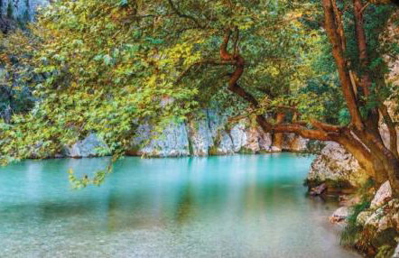 VILLA ELLI - Foto 61