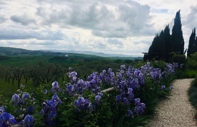 A440 in Tuscany - Photo 49