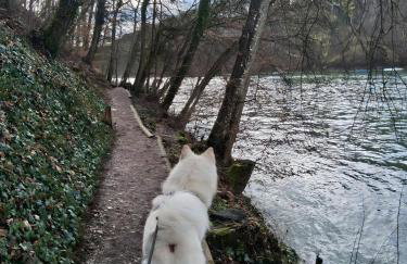 Pure Vista Hank Schwarzwaldblick - Photo 42