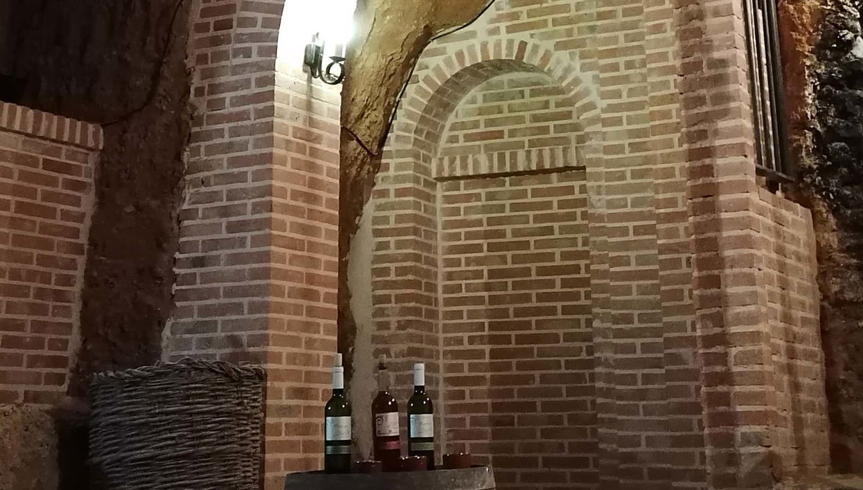 Tour in Peñaranda de Duero - Photo 1