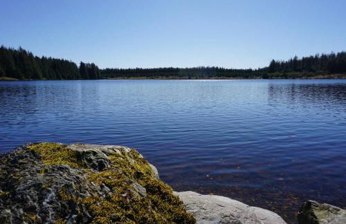 The Stables - Photo 37