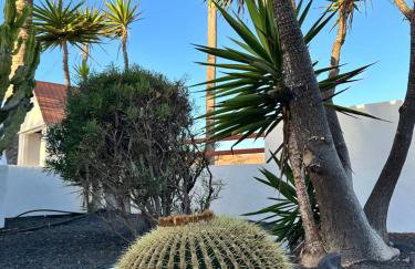 Juwel des Meeres Nudist Place FKK Complejo Nudista - Charco del Palo - - Foto 5