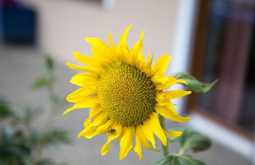 Haus Osserblick - Foto 34