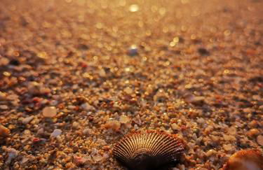 Julian's house Portopollo - Photo 71