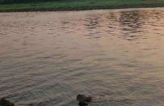 Southern Magnolia House with Porch Swing - Foto 25