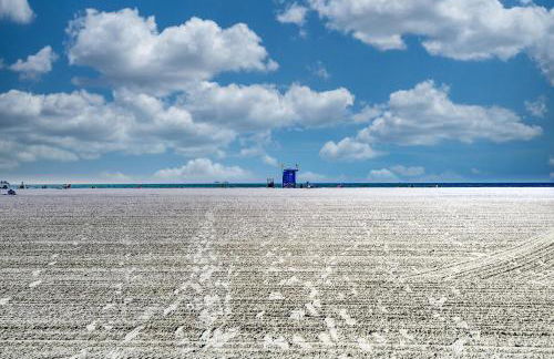 Carefree Coconut - Foto 63