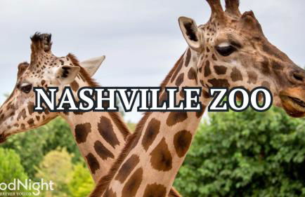 Urban Row - Rooftop Hottub - Heart of Gulch - Foto 64