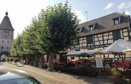 Gites Aux Fines Bulles d'Alsace - Foto 3