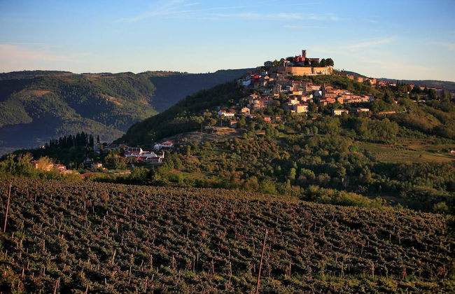 Bella Vista Apartments - Photo 35