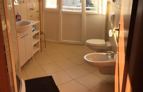 Lipovac resort Ficus - Foto 31