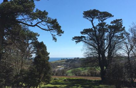 Penmorvah Manor Hotel - Foto 54