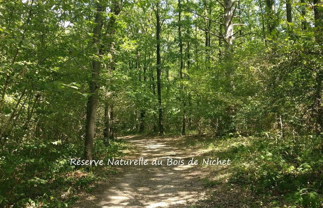 New House on the Edge of a Large Forest, Large Garden,very Quiet, Beautiful Area - Foto 36